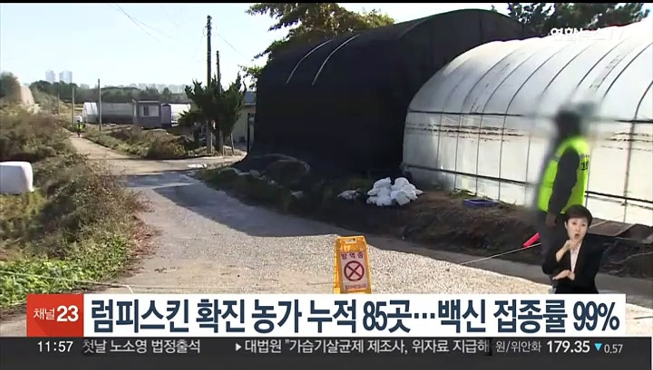럼피스킨 확진 농가 누적 85곳…백신 접종률 99%