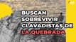 CLAVADISTAS de ACAPULCO harán transmisión en vivo para recaudar fondos por daños de OTIS