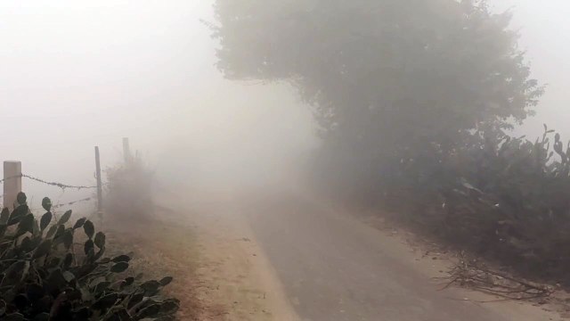 श्रीगंगानगर क्षेत्र में छाया घना कोहरा