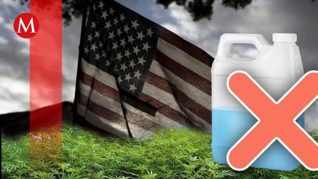 México trafica pesticidas para cultivos ilegales en EU | Expedientes Secretos Ley