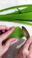 Soothing Skin Woes: Aloe Vera for Skin Health