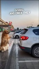 BEST BACKUP CAMERA ☺️