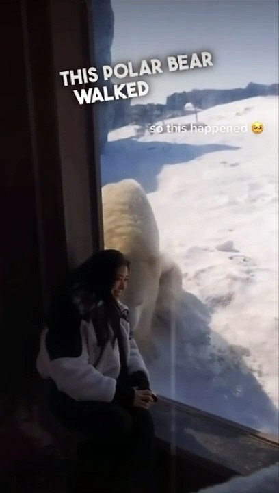ADORABLE MOMENT 