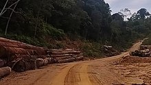 Estafet kayu logging block