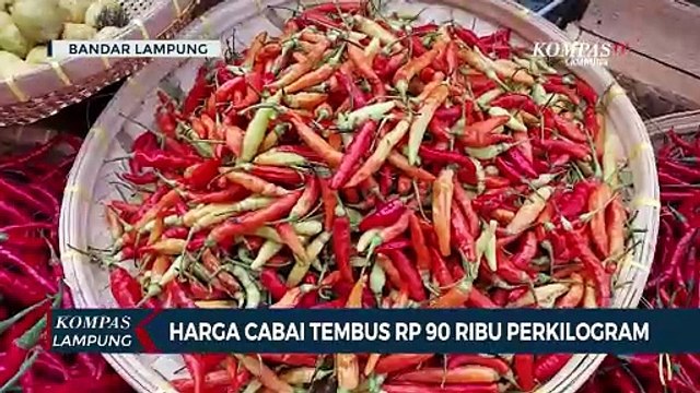 Masih Mahal! Harga Cabai Tembus Rp90 Ribu Perkilogram