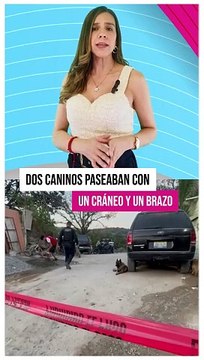 Fueron localizadas varias fosas clandestinas en la colonia Brisas de la Primavera, en Zapopan #TuNotiReel