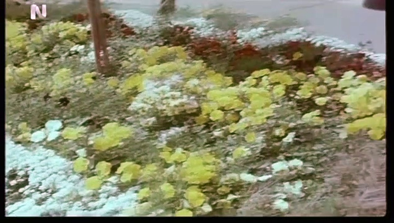 ΤΟ ΧΑΜΟΓΕΛΟ ΤΗΣ ΠΥΘΙΑΣ - 1979 - TVRip - 720x392