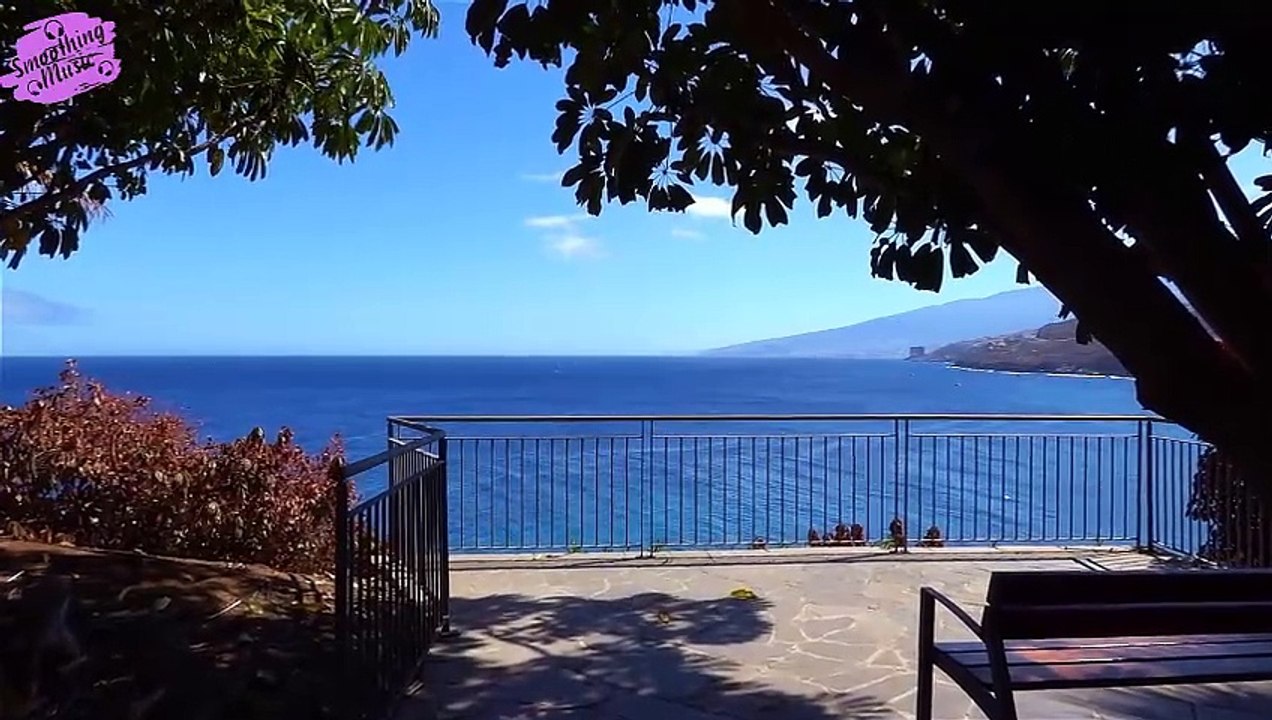 Soothing Acoustic Guitar Sounds | Find Peace and Relaxation with Calming Melodies