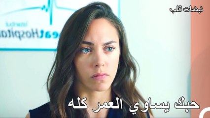 لم يتمكن الحب القديم من لم شملهم - نبضات قلب