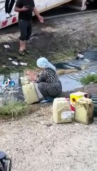 Tır kazası sonrası yaşananlar pes dedirtti