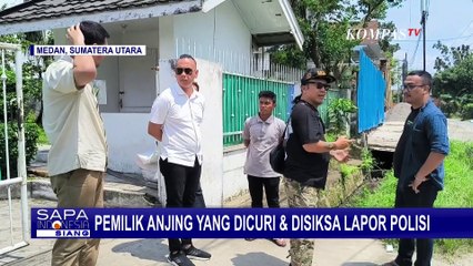 Pria Penyiksa dan Pencuri Anjing di Medan Dipolisikan
