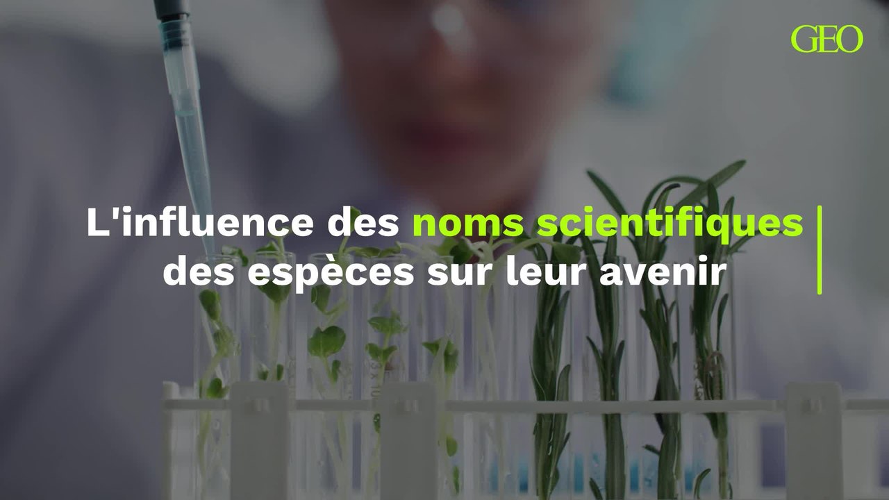 L'influence des noms scientifiques des espèces sur leur avenir