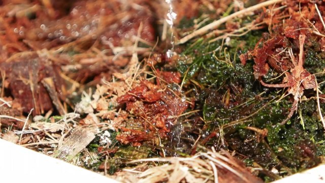 [녹색] '양액 살균기술' 국산화 성공...농가 경영비 절감 기대 / YTN