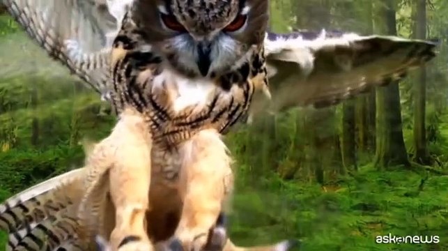 Mi fa un baffo il gatto nero, contro pregiudizi e luoghi comuni