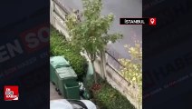 İstanbul'da dolmuş şoförü ile yolcunun kavgası kamerada