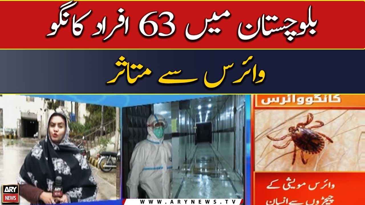 63 people infected with Congo virus in Balochistan | Latest Updates