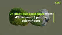 Un plastique écologique vient d'être inventé par des scientifiques