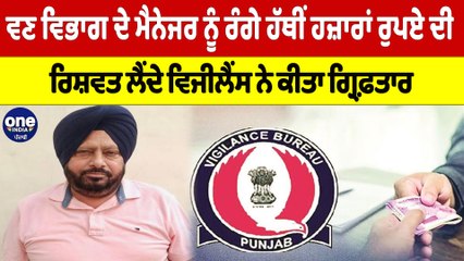 ਵਣ ਵਿਭਾਗ ਦੇ ਮੈਨੇਜਰ ਨੂੰ ਰੰਗੇ ਹੱਥੀਂ ਰਿਸ਼ਵਤ ਲੈਂਦੇ Vigilance ਨੇ ਕੀਤਾ ਗ੍ਰਿਫ਼ਤਾਰ |OneIndia Punjabi