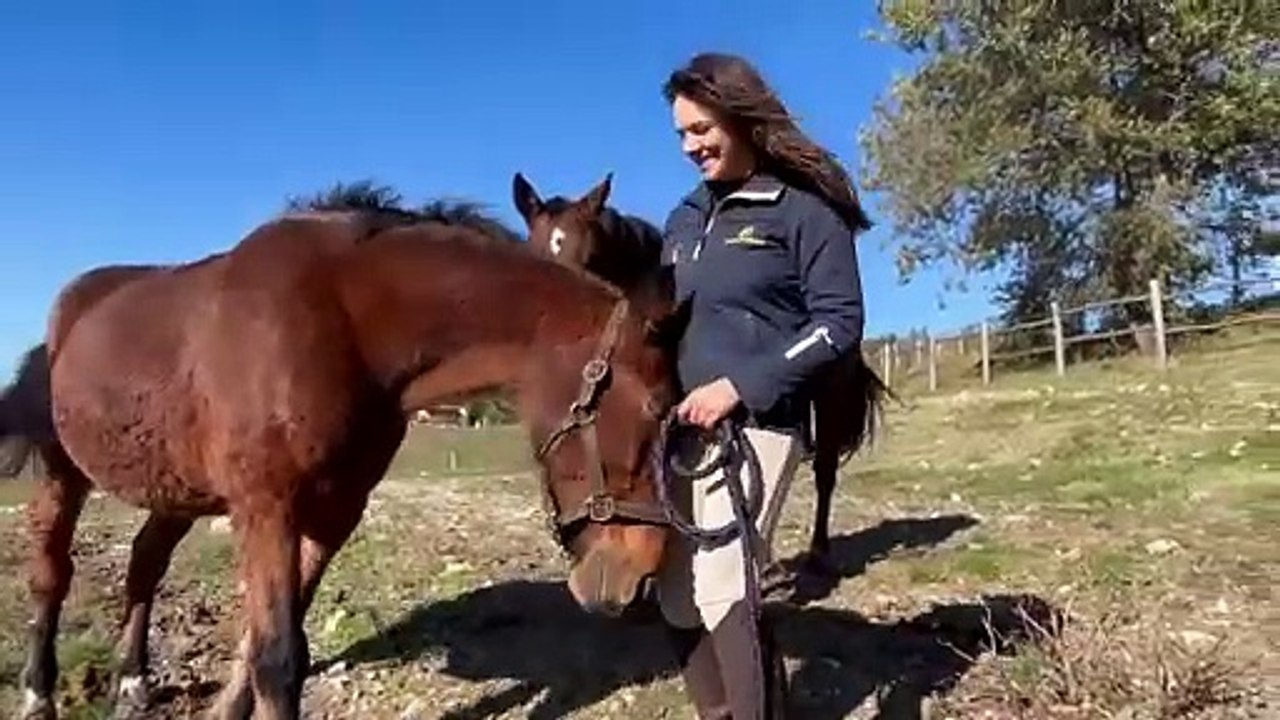 Jessica e l'amore per i cavalli
