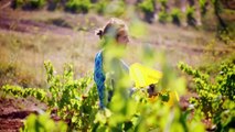 Rioja, la tierra de los mil vinos - Tráiler