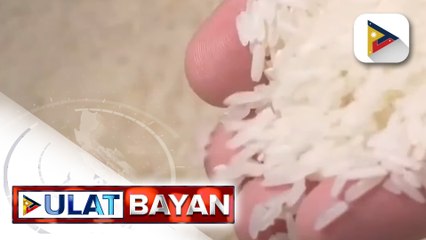 Pagpapalawak sa half rice policy, isinusulong ngayong National Rice Awareness Month