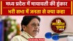 MP Election 2023: मध्य प्रदेश के चुनाव में Mayawati ने लोगों से क्या कहा | वनइंडिया हिंदी #Shorts