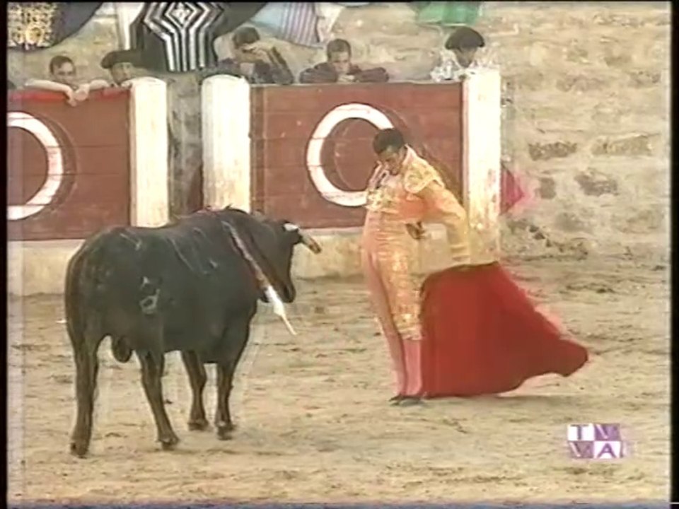 TARDE DE TOROS-JORGE MANRIQUE-JUAN IGNACIO SANCHEZ-JULIAN GUERRA-MEDINA DE RIOSECO-6 JUNIO  1998