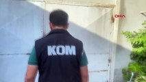 Adanada Gümrük Kaçağı 52 Milyon Makaron Ele Geçirildi