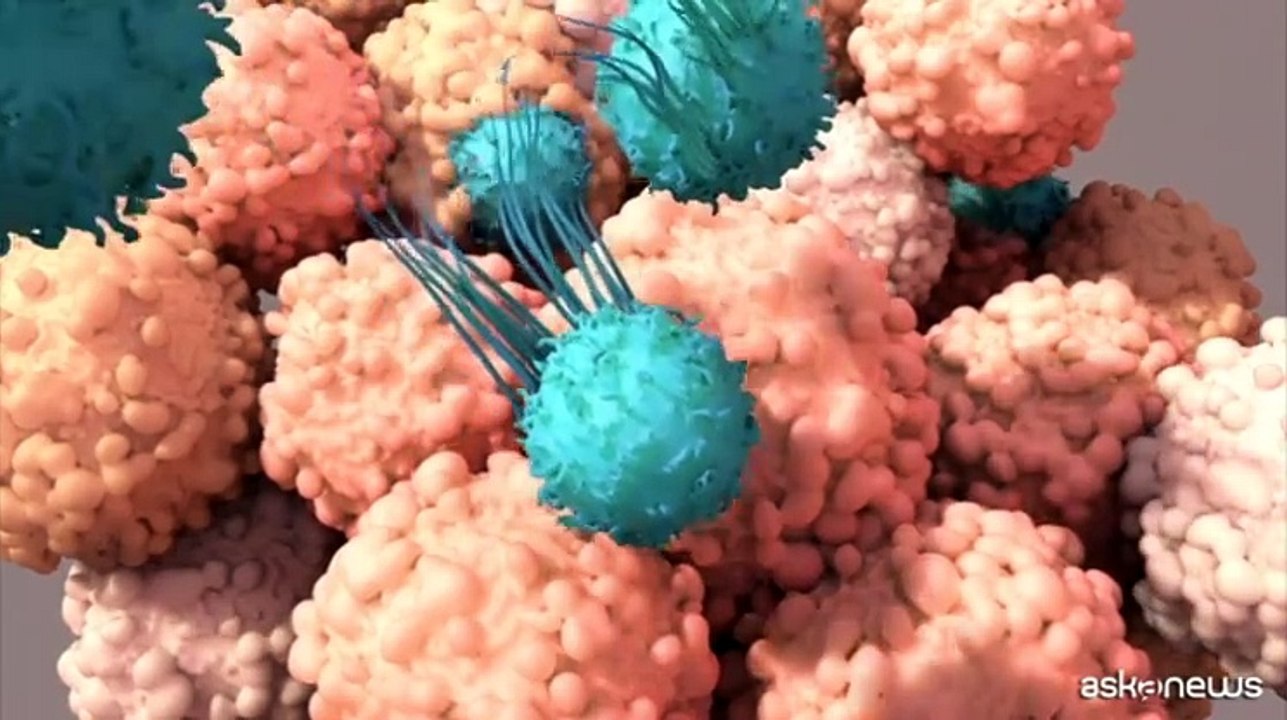Lotta ai tumori del sangue, in Lombardia 8 Centri per cure Car-T