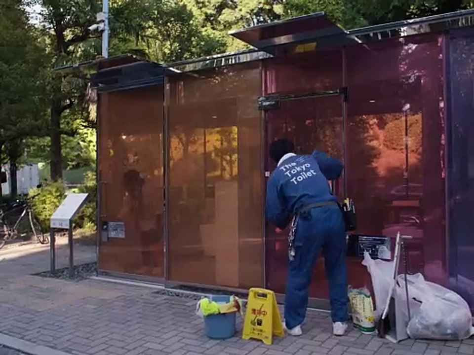 Perfect Days Trailer DF