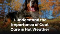 10 Essential Tips for Keeping Your Dog’s Coat Healthy in Hot Weather