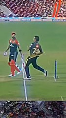 कुछ नोटिस करो  #cricket #shorts #reels #love #top #viral #trending #cricketvideos #himanshu_46