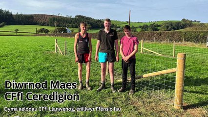 Diwrnod Maes CFfI Ceredigion 151123
