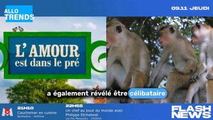L'émission "L'amour est dans le pré" perturbée par 2 prétendantes : des mesures disciplinaires à venir pour non-respect du contrat.