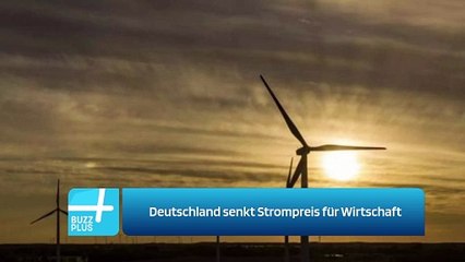 Deutschland senkt Strompreis für Wirtschaft