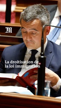 Que contient la loi « immigration » ?