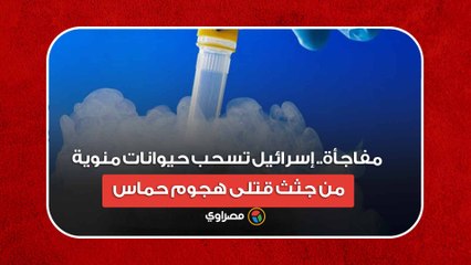 مفاجأة.. إسرائيل تسحب حيوانات منوية من جثث قتلى هجوم حماس