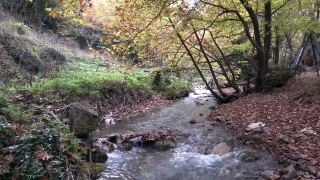 Στο δημοτικό Συμβούλιο οι κάτοικοι της Παύλιανης για το υδροηλεκτρικό