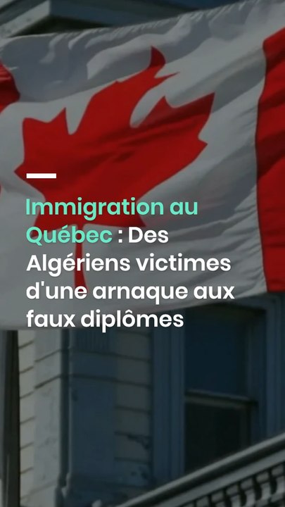 Immigration au Québec : Des Algériens victimes d'une arnaque aux faux diplômes