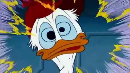 Donald Duck No Hunting Video 30