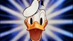 Donald Duck Dale Chip Out on a Limb Cartoon 1950 High Quality