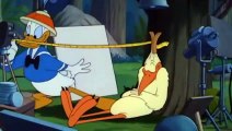 Donald duck cartoons - Clown of the jungle