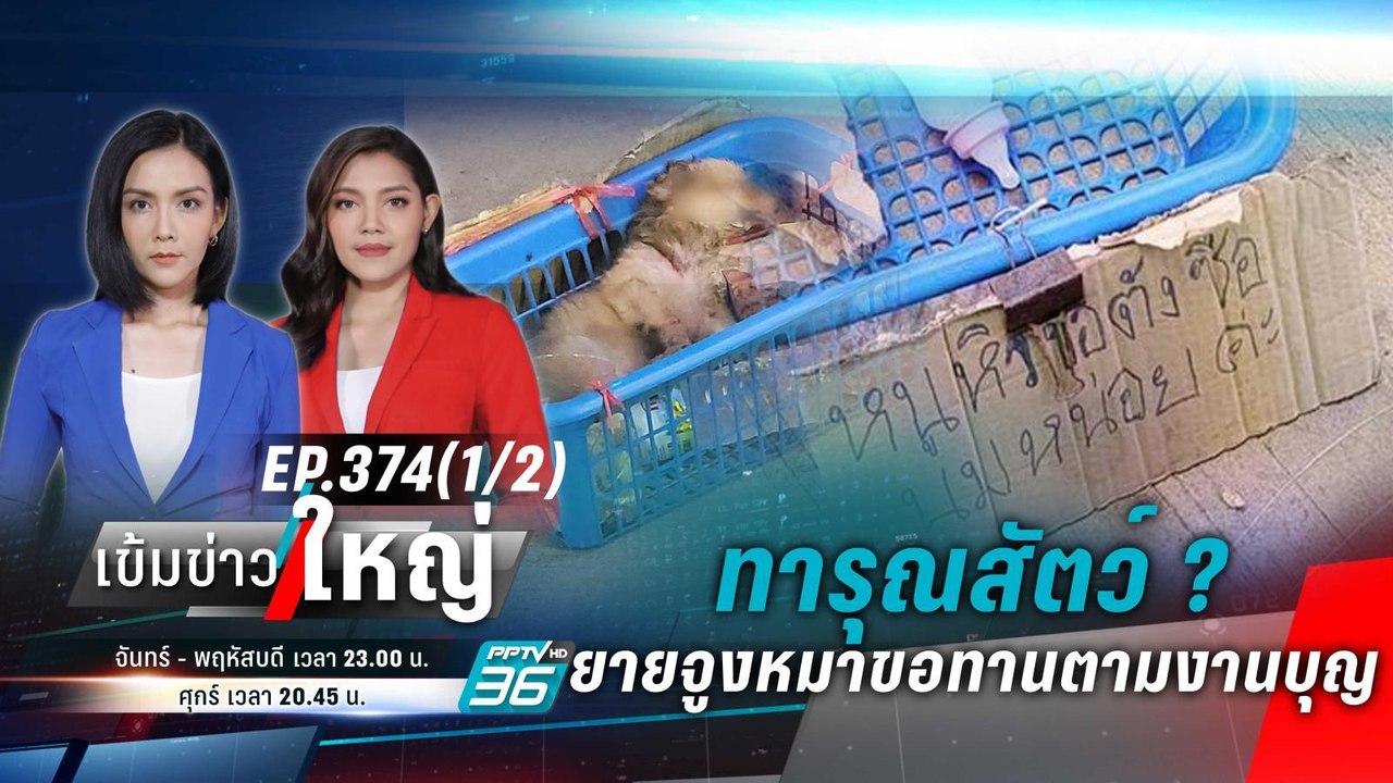 ยายจูงหมาขอทานงานวัด ทารุณสัตว์ ?  | เข้มข่าวให...