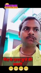 Bhaise pe kutte ki savari  #shorts #funny #comedy