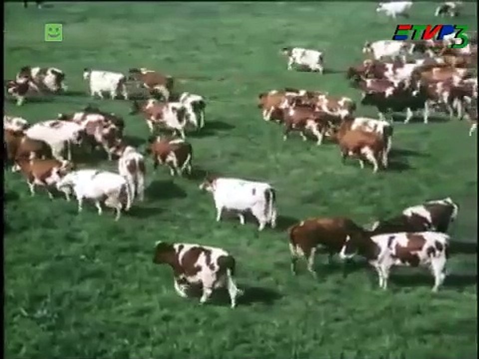 Kombinat Kietrz 1985 rok z kolorem