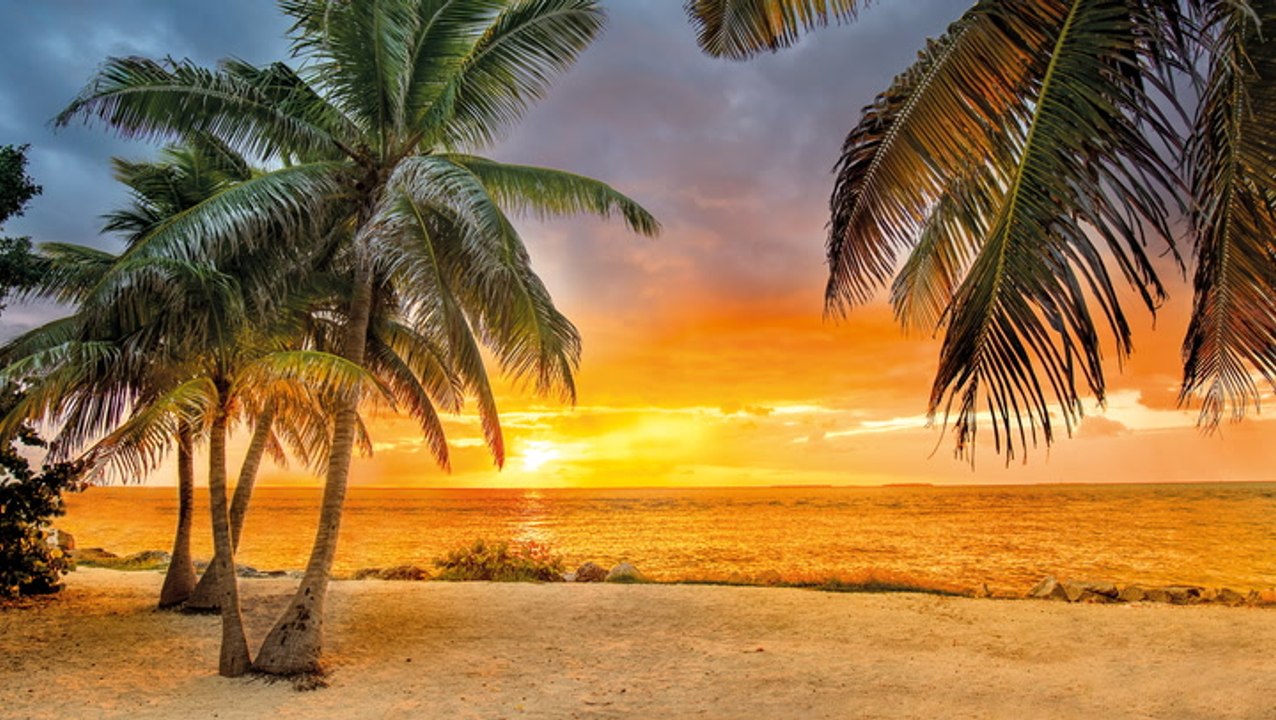 United Just Launched More Flights to Florida Than It Has in Its Entire History — Just in Time for Winter