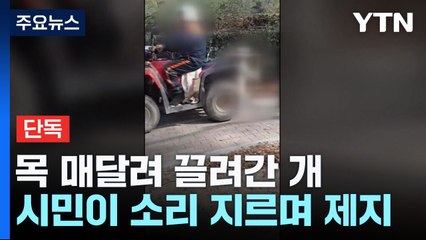 [단독] 오토바이에 목매달려 끌려간 개...시민들이 구했다 / YTN