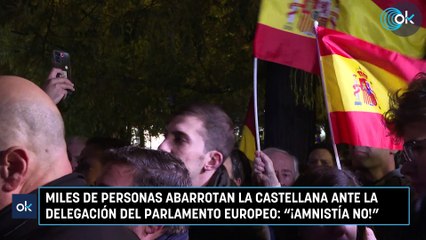 Miles de personas abarrotan la Castellana ante la delegación del Parlamento Europeo: "¡Amnistía no!"