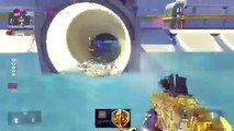 Donald Duck Gets His Butt Kicked BO2 Trolling