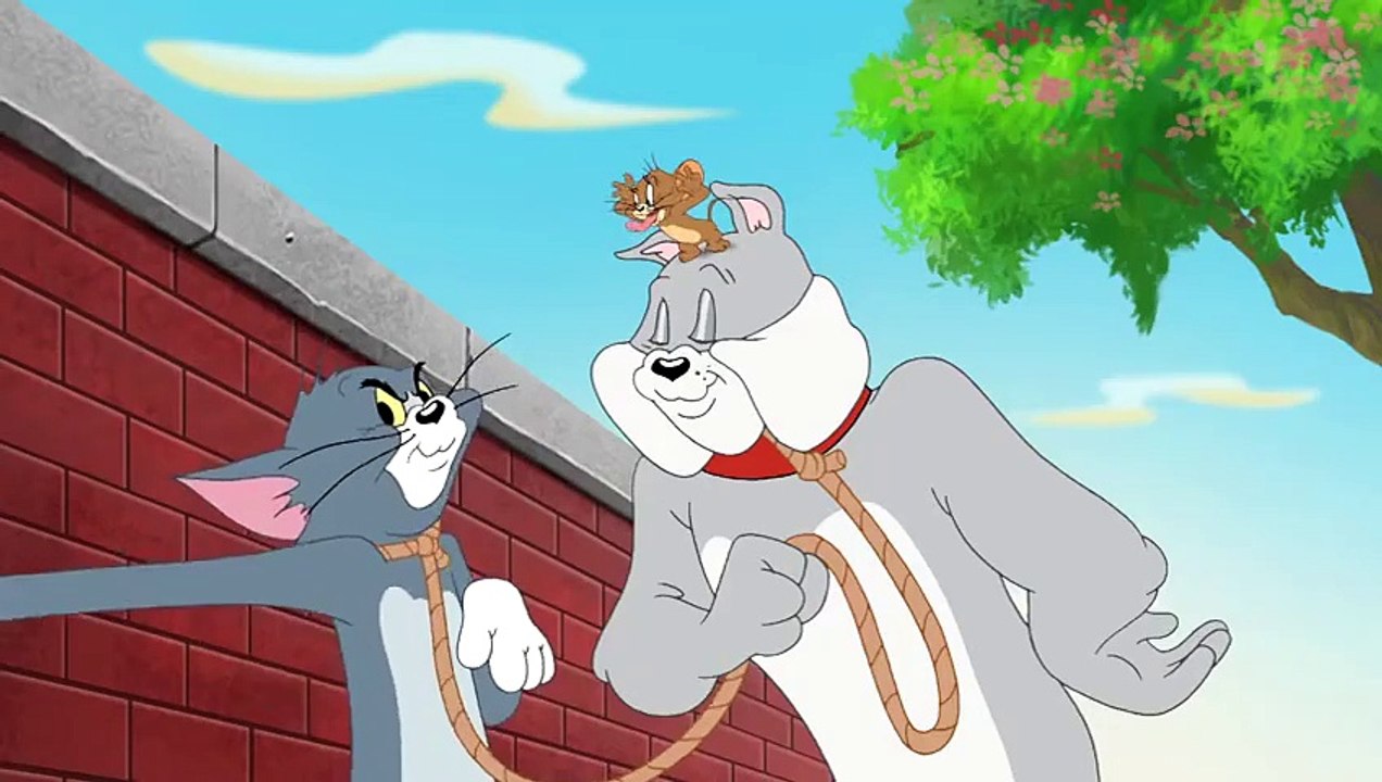 Tom and Jerry Tales The Cat Whisperer Part 2 video Dailymotion